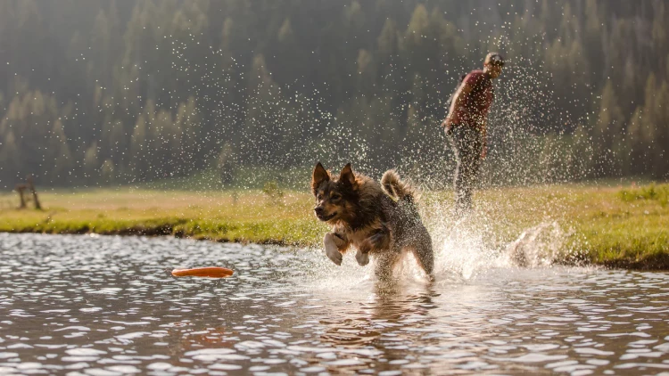 Ruffwear® Hydro Plane™ тарелка-обруч (фрисби) 