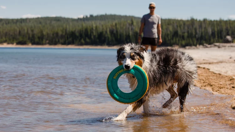 Ruffwear® Hydro Plane™ тарелка-обруч (фрисби) 