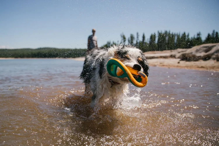 Ruffwear® Hydro Plane™ тарелка-обруч (фрисби) 