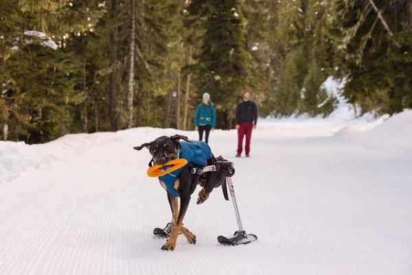 Ruffwear® Hydro Plane™ тарелка-обруч (фрисби) 