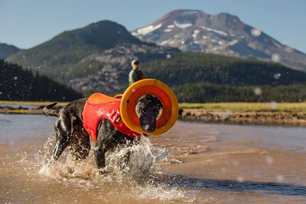 Ruffwear® Hydro Plane™ тарелка-обруч (фрисби) 