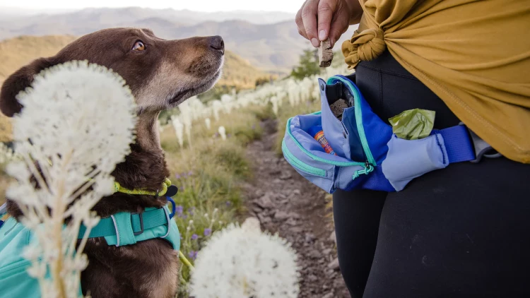 Сумка Ruffwear® HOME TRAIL™ HIP PACK