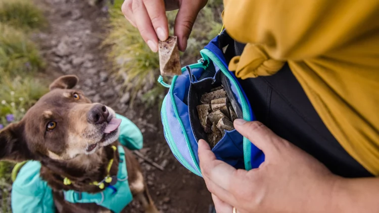 Сумка Ruffwear® HOME TRAIL™ HIP PACK