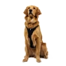 Шлея RUFFWEAR® Ridgeline™