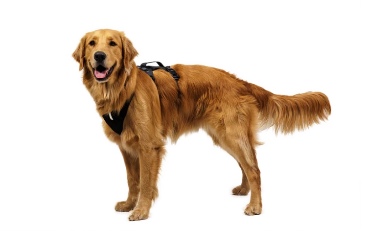 Шлея RUFFWEAR® Ridgeline™