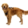 Шлея RUFFWEAR® Ridgeline™