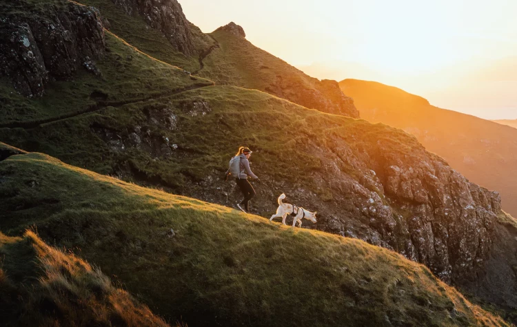 Шлея RUFFWEAR® Ridgeline™