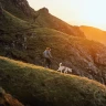 Шлея RUFFWEAR® Ridgeline™