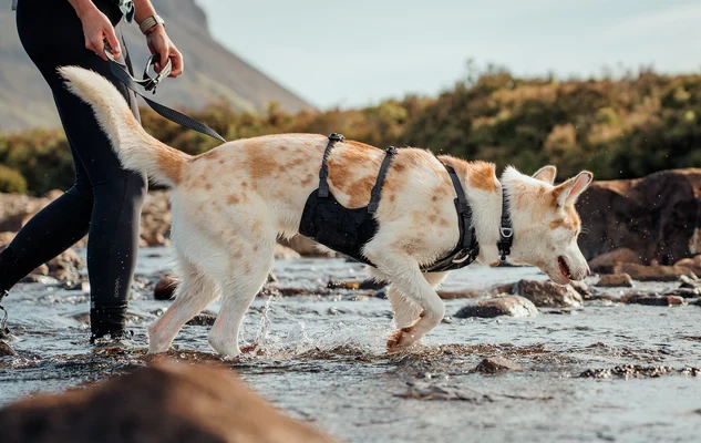 Шлея RUFFWEAR® Ridgeline™