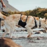 Шлея RUFFWEAR® Ridgeline™
