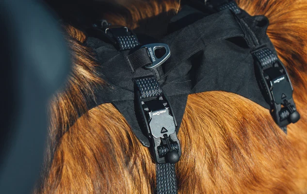 Шлея RUFFWEAR® Ridgeline™