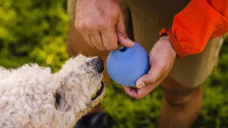 Ruffwear® Huckama™ - интерактивная игрушка для собак