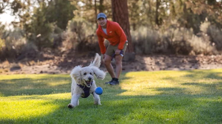 Ruffwear® Huckama™ - интерактивная игрушка для собак