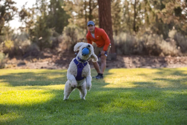 Ruffwear® Huckama™ - интерактивная игрушка для собак