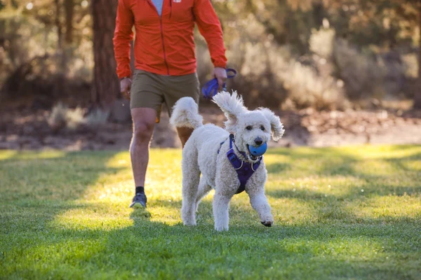 Ruffwear® Huckama™ - интерактивная игрушка для собак