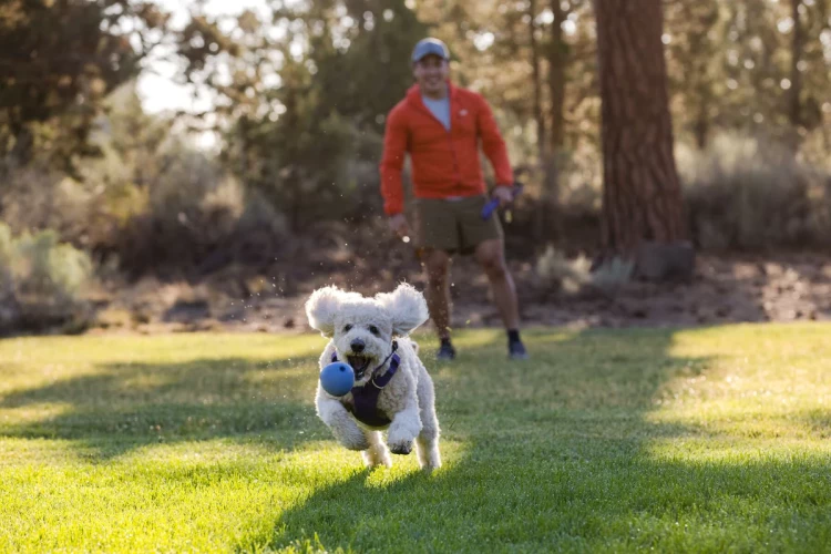 Ruffwear® Huckama™ - интерактивная игрушка для собак