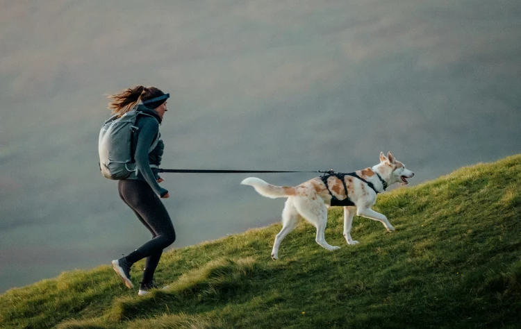 Поводок RUFFWEAR® Ridgeline™