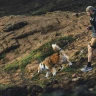 Поводок RUFFWEAR® Ridgeline™