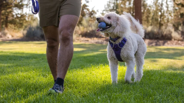 Ruffwear® TurnUp™ - интерактивная упругая игрушка