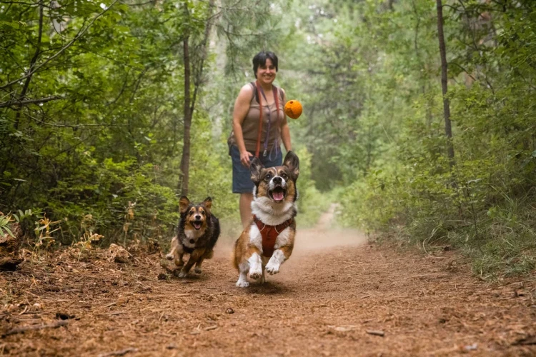Ruffwear® TurnUp™ - интерактивная упругая игрушка