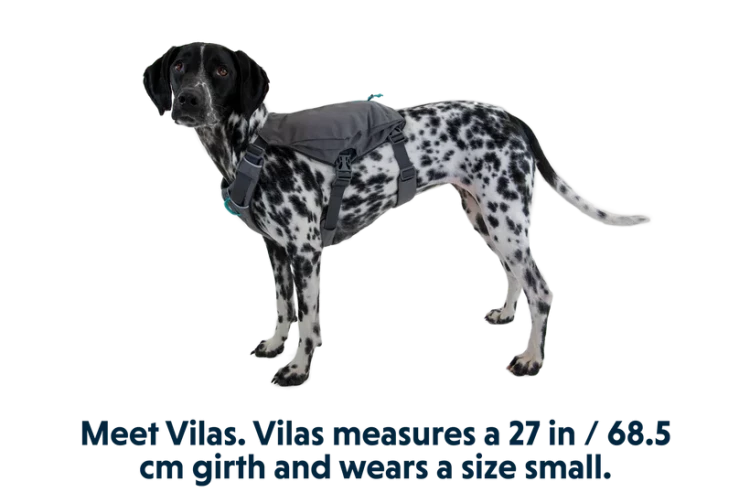 Шлейка Ruffwear® Switchback™