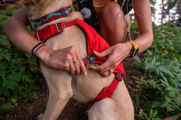 Шлейка Ruffwear® Switchback™