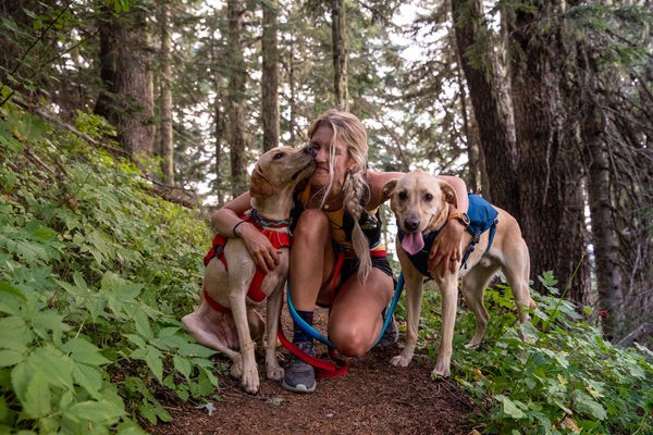 Шлейка Ruffwear® Switchback™