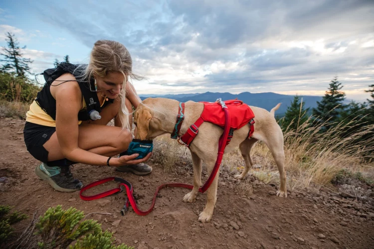 Шлейка Ruffwear® Switchback™