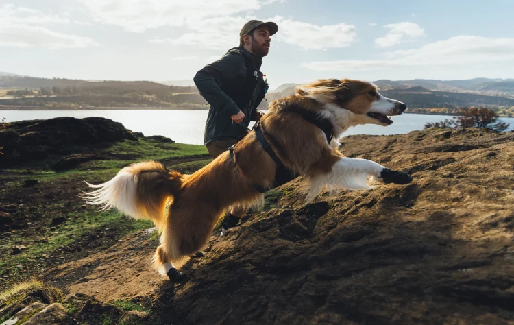 Ботинки RUFFWEAR® Ridgeline™ (комплект - 4шт.)