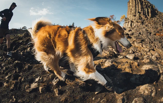 Ботинки RUFFWEAR® Ridgeline™ (комплект - 4шт.)