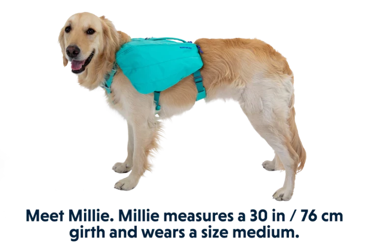 Ruffwear® Front Range™ Day Pack рюкзак дневных походов