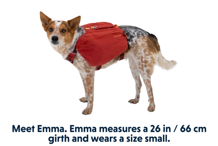 Ruffwear® Front Range™ Day Pack рюкзак дневных походов