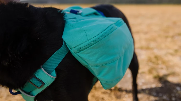 Ruffwear® Front Range™ Day Pack рюкзак дневных походов