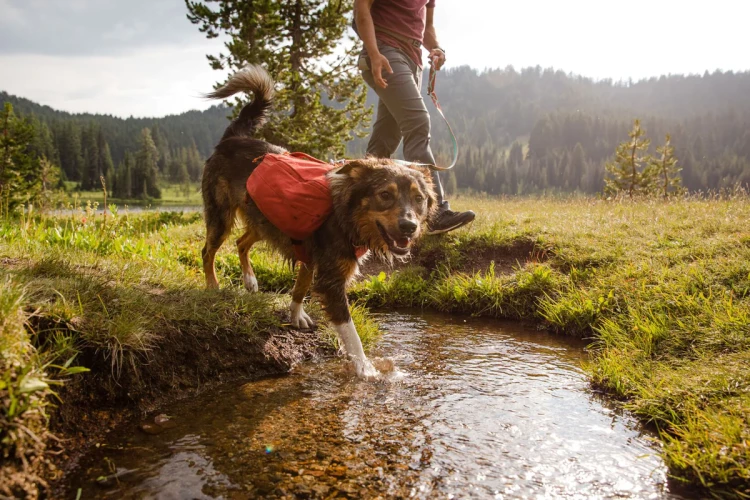 Ruffwear® Front Range™ Day Pack рюкзак дневных походов