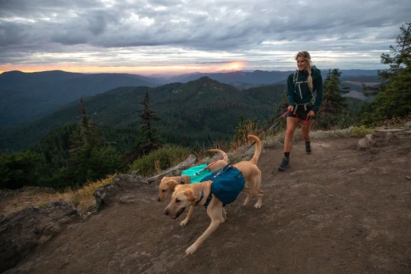 Ruffwear® Front Range™ Day Pack рюкзак дневных походов