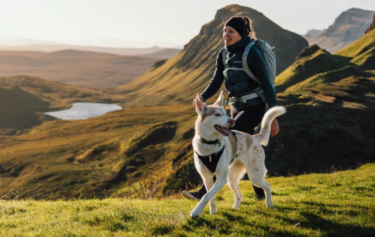 Ошейник RUFFWEAR® Ridgeline™