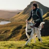 Ошейник RUFFWEAR® Ridgeline™