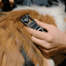 Ошейник RUFFWEAR® Ridgeline™
