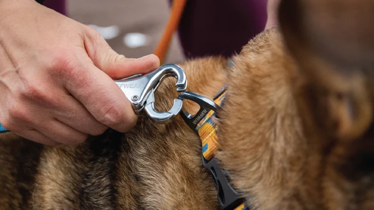 Ruffwear® Roamer™ поводок-потяг 