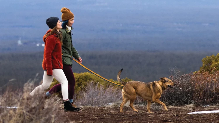 Ruffwear® Roamer™ поводок-потяг 