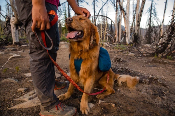 Ruffwear® FLAT OUT™ - повседневный поводок