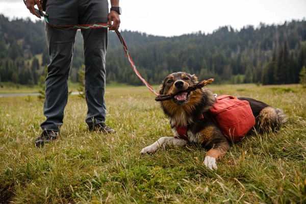 Ruffwear® FLAT OUT™ - повседневный поводок