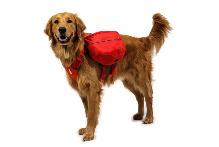 Рюкзак RUFFWEAR® Palisades™ 2026