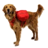 Рюкзак RUFFWEAR® Palisades™ 2026