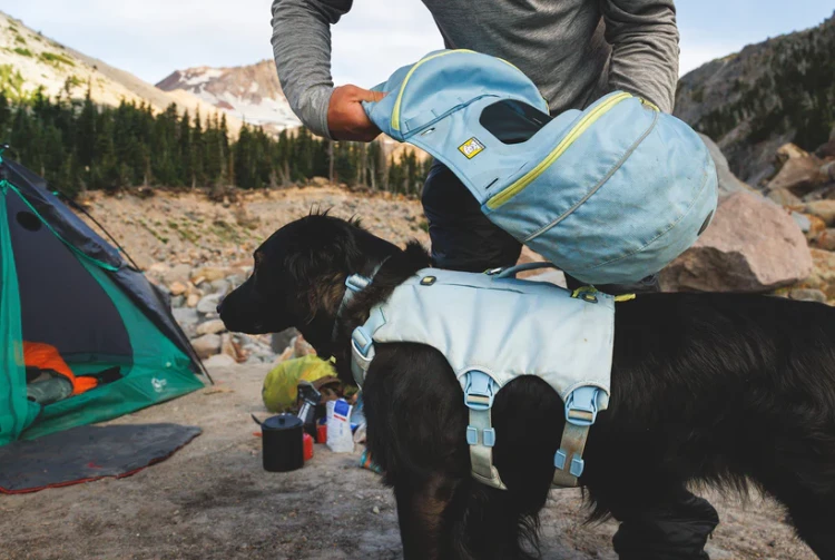 Рюкзак RUFFWEAR® Palisades™ 2026