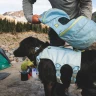 Рюкзак RUFFWEAR® Palisades™ 2026