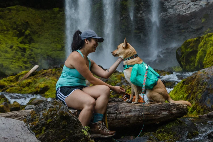 Ruffwear® Flat Out™ Collar - повседневный плоский ошейник