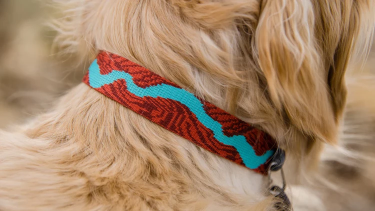 Ruffwear® Flat Out™ Collar - повседневный плоский ошейник