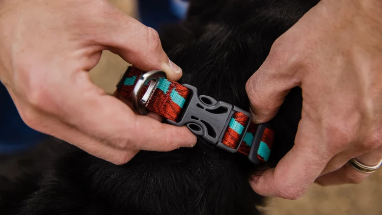 Ruffwear® Flat Out™ Collar - повседневный плоский ошейник