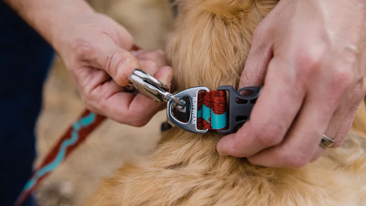 Ruffwear® Flat Out™ Collar - повседневный плоский ошейник
